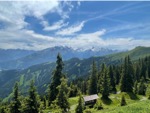 resIMG_20220616_133258_IMG_8993_HEIC.jpg